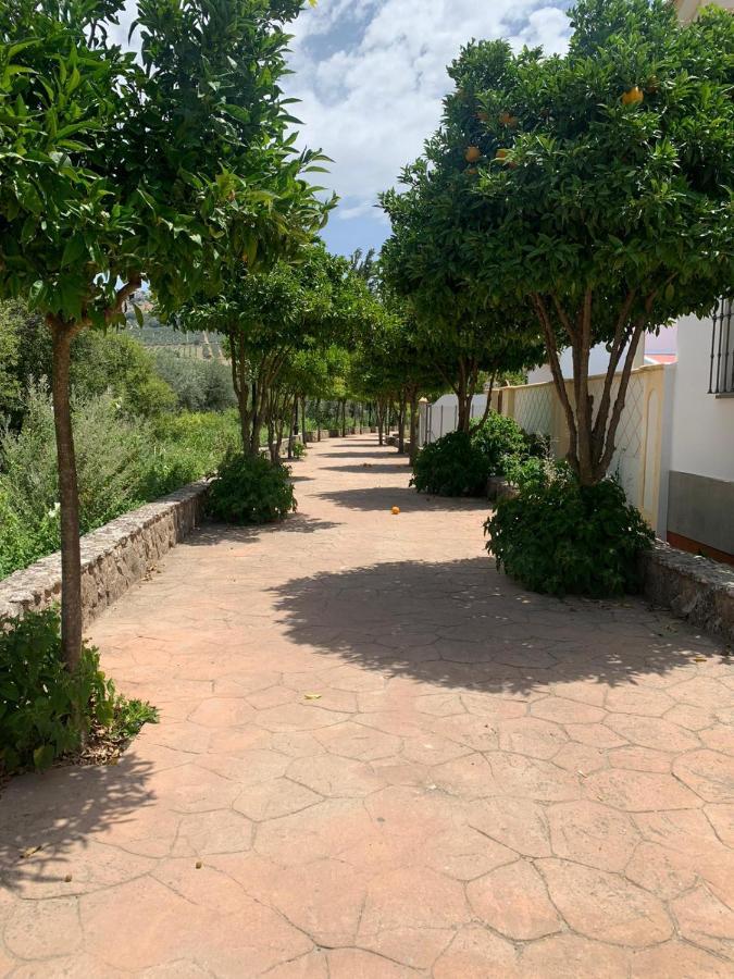 Apartamento En Cuevas Del Becerro Zewnętrze zdjęcie